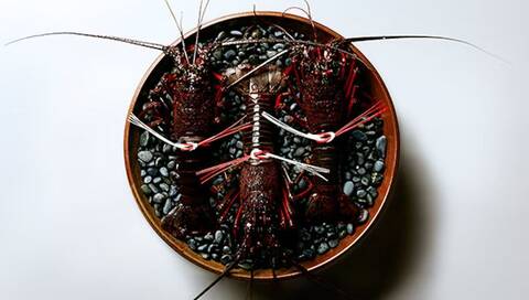 product-thumbnail-3