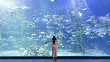 제주 아쿠아플라넷+추가 관광지 무료