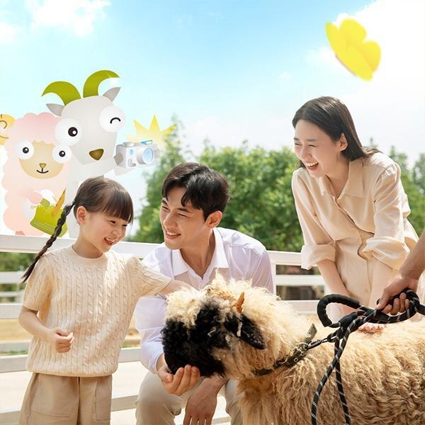 안성팜랜드 입장권(6/8~8/31)