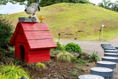 제주 스누피가든