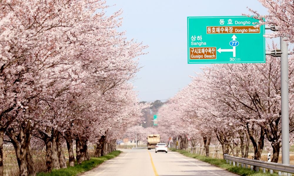 동호비치호텔 외관