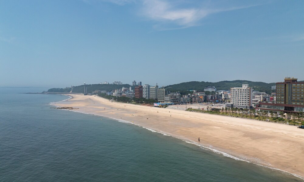 대천 머드비치호텔 전망