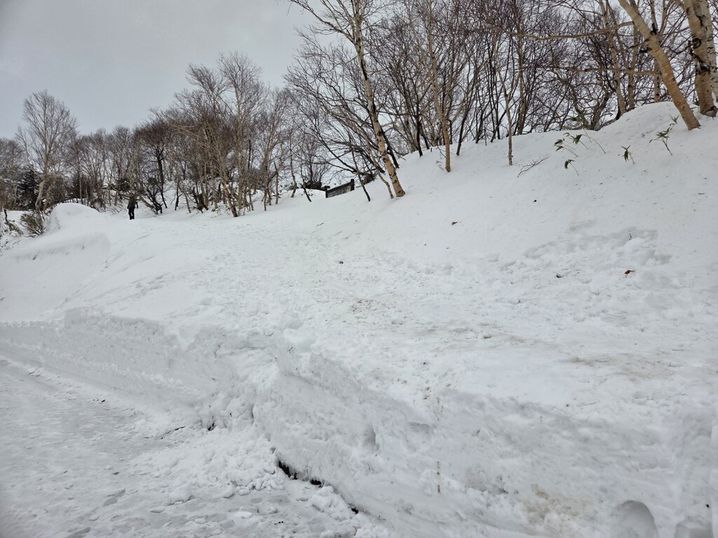 후기 사진