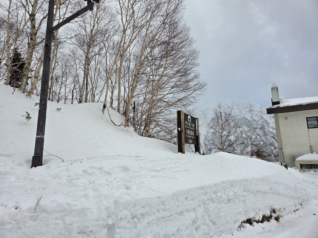 후기 사진