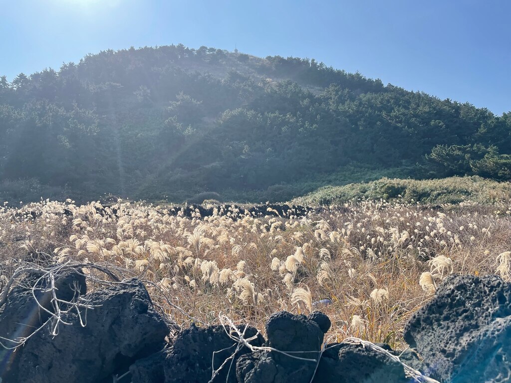 후기 사진