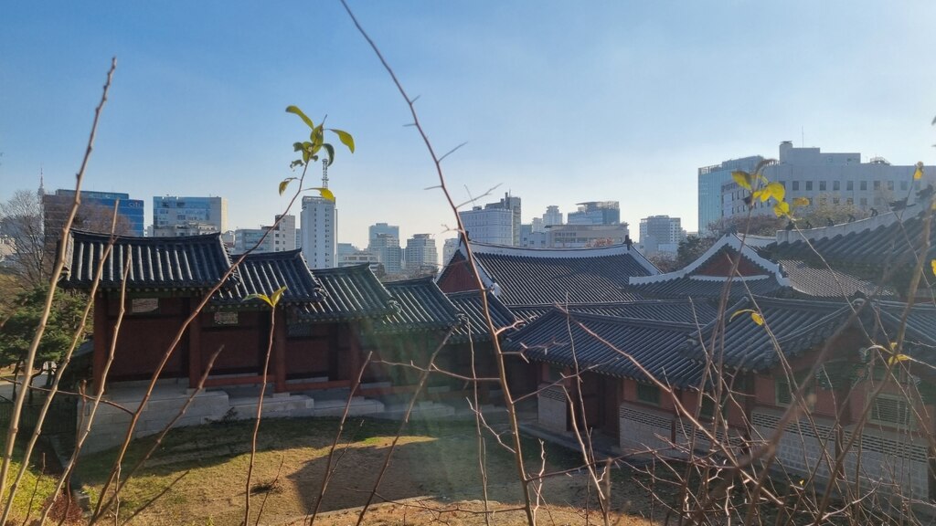 후기 사진