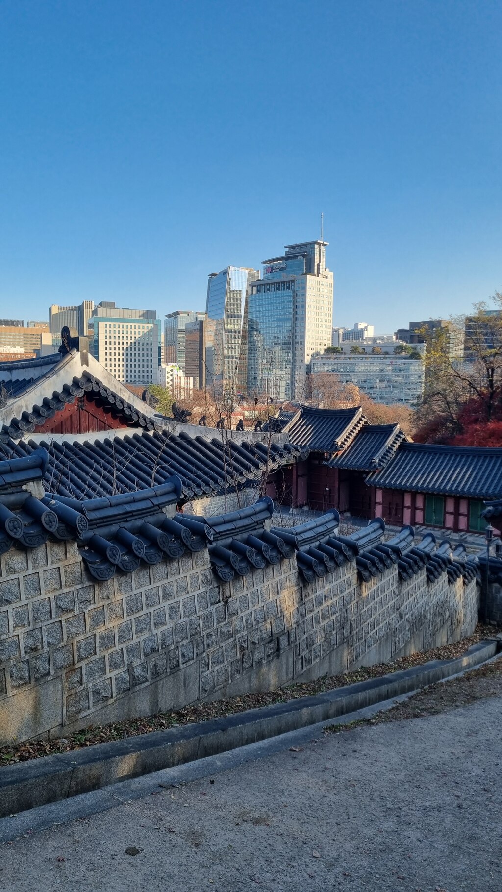 후기 사진