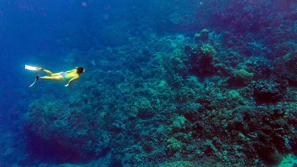 후기 사진