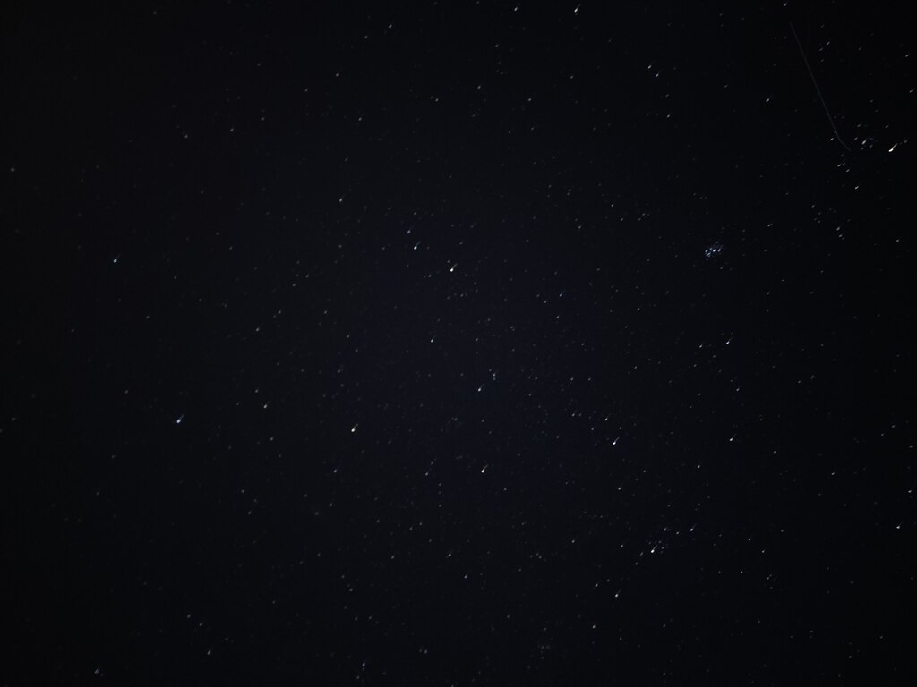 후기 사진