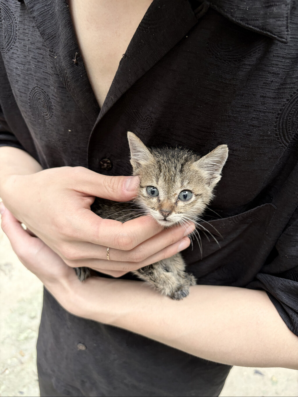 여행자 후기 사진 7