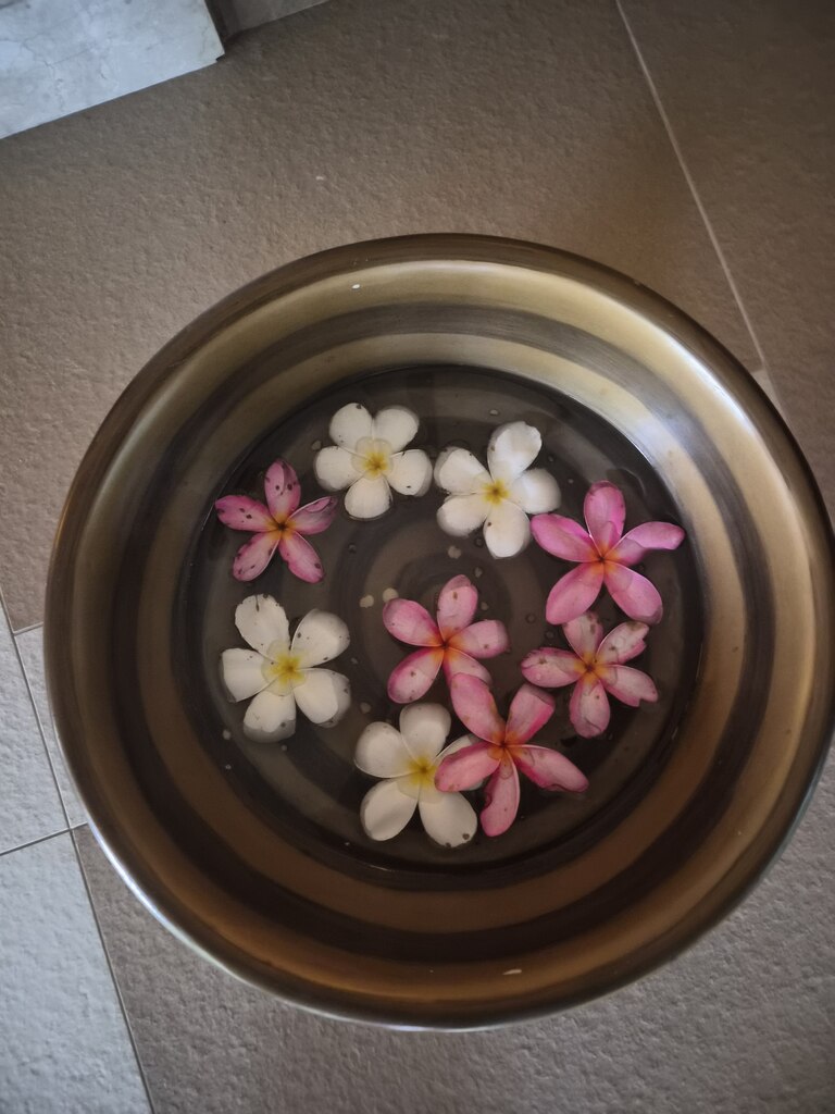 후기 사진