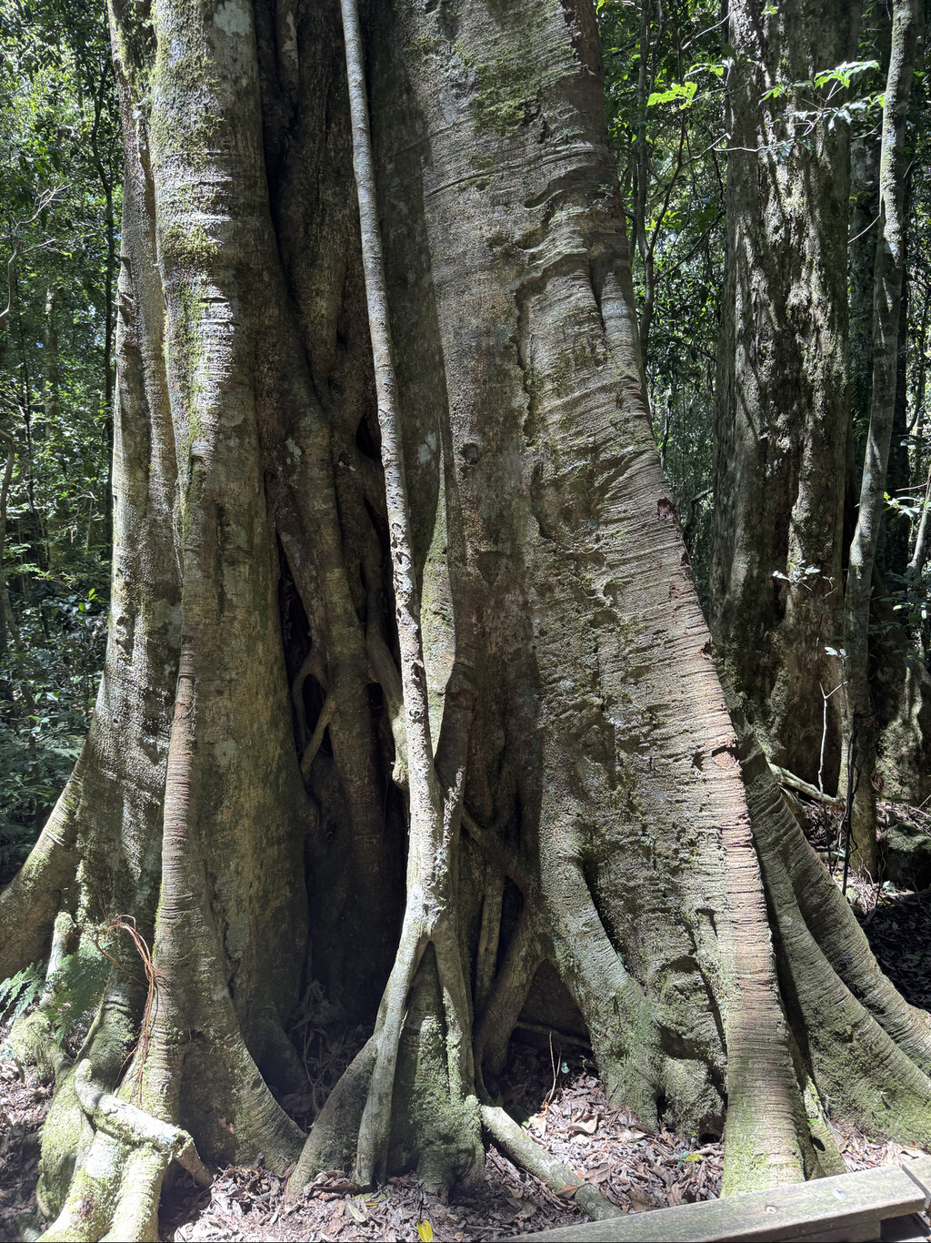 후기 사진