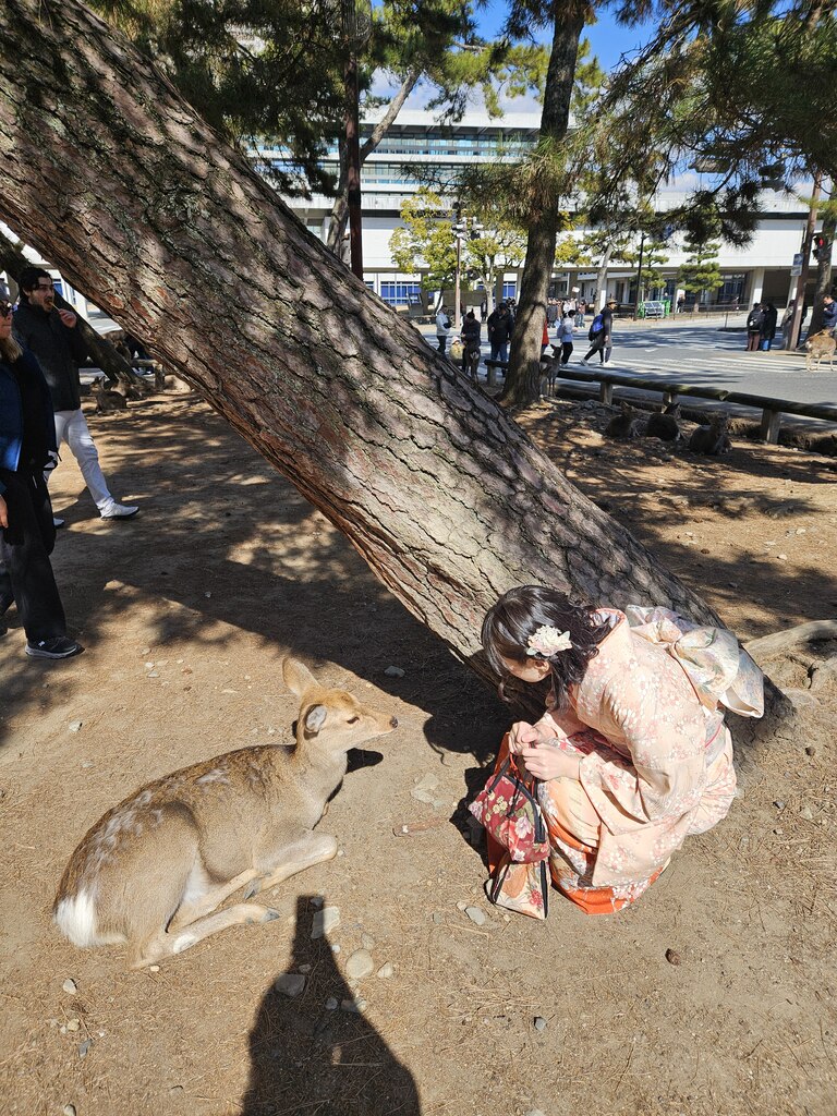 후기 사진