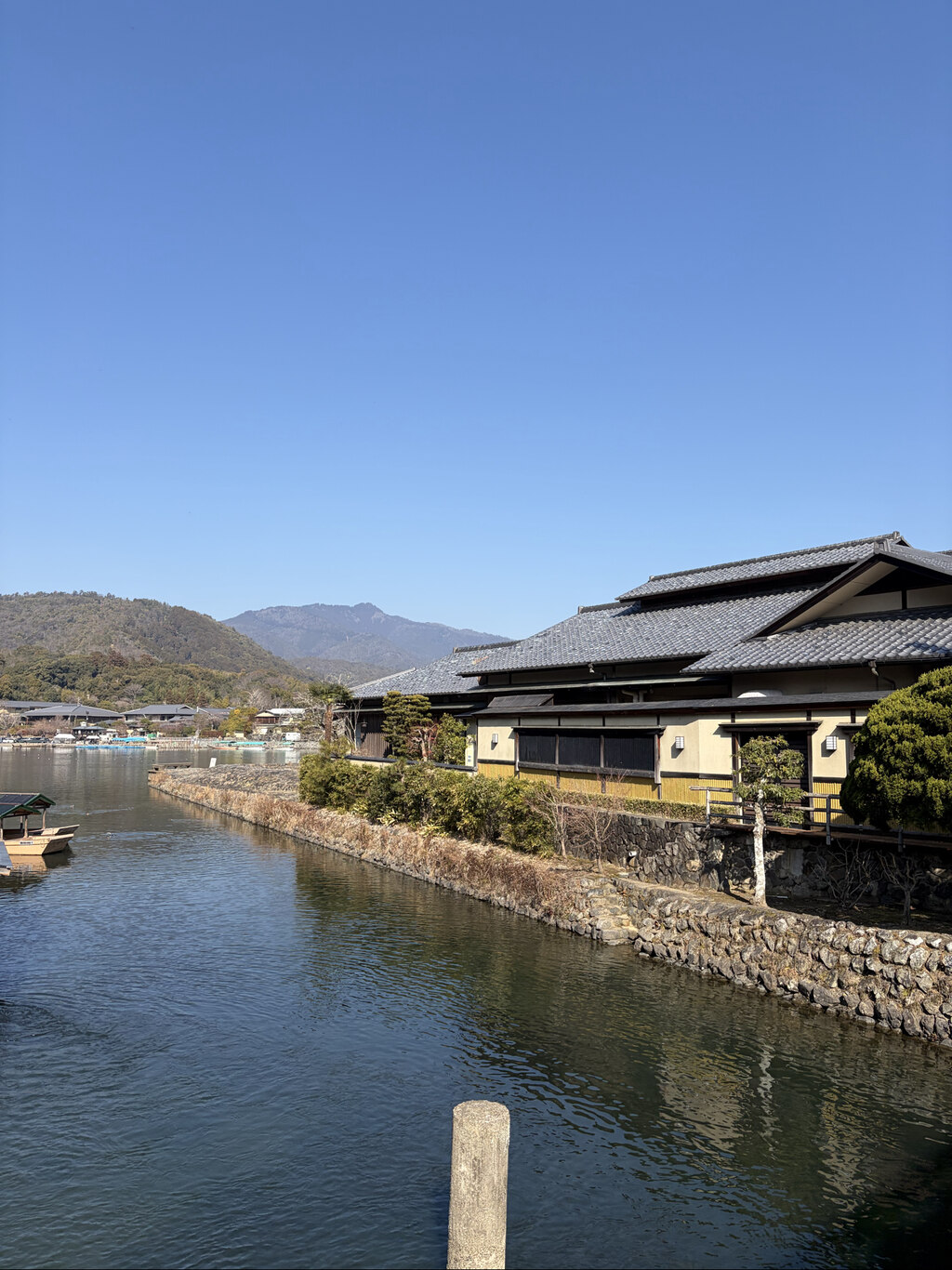 교토 버스 투어 중 가이드가 찍어준 아라시야마 대나무 숲에서의 감성적인 인물 사진