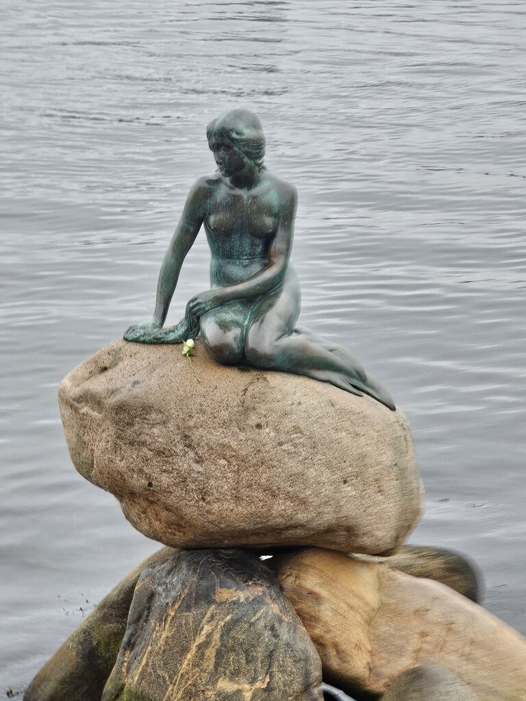 후기 사진