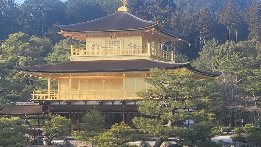 후기 사진