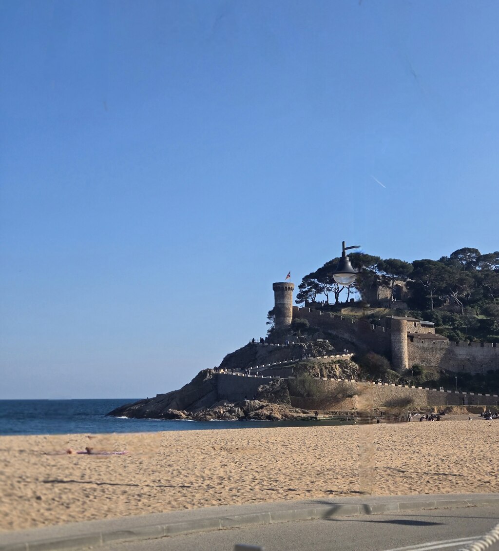 후기 사진