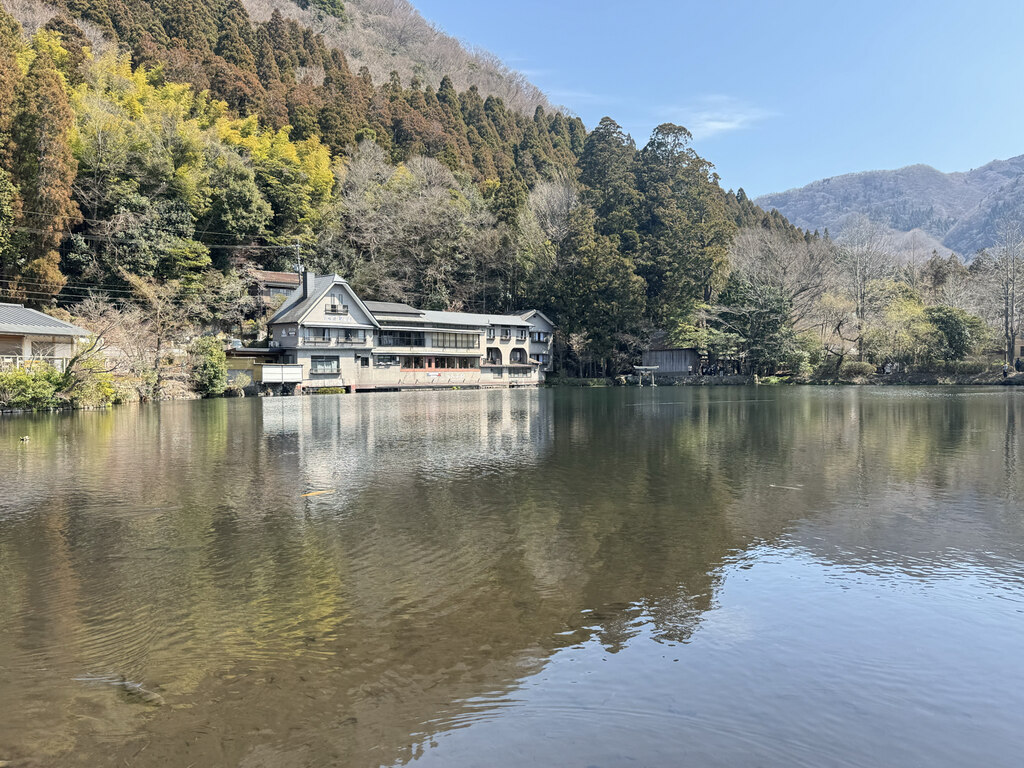 후기 사진