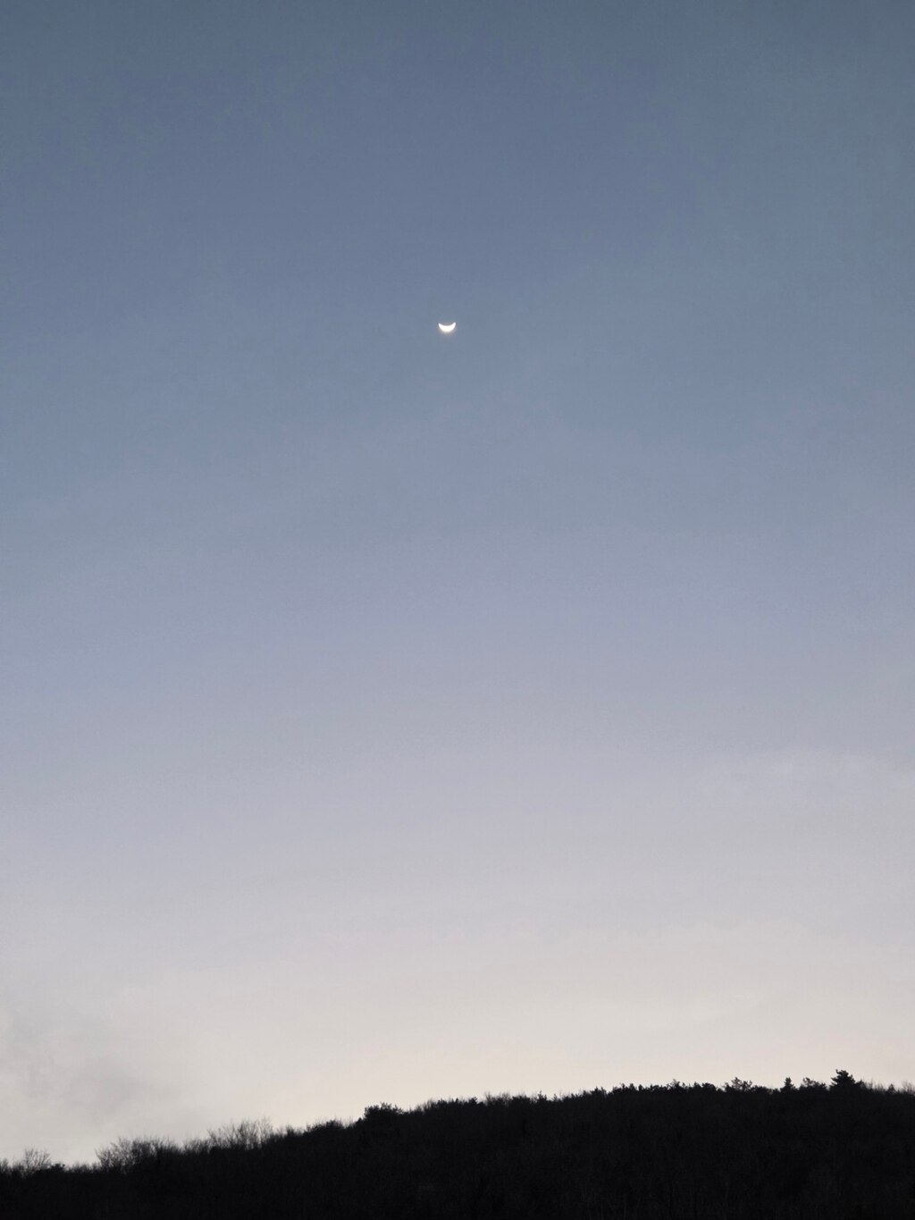후기 사진