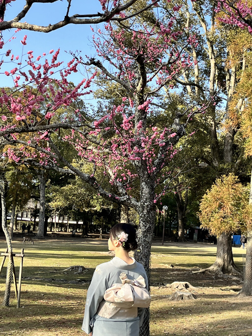 후기 사진