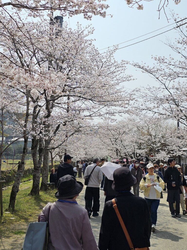 후기 사진