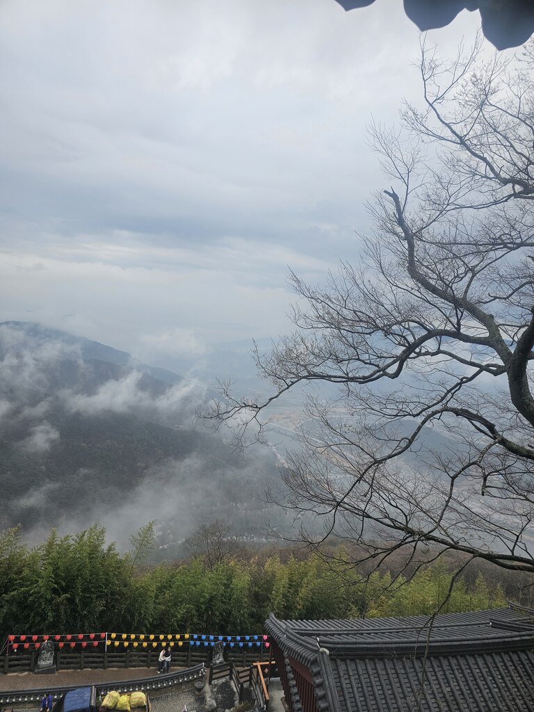 후기 사진