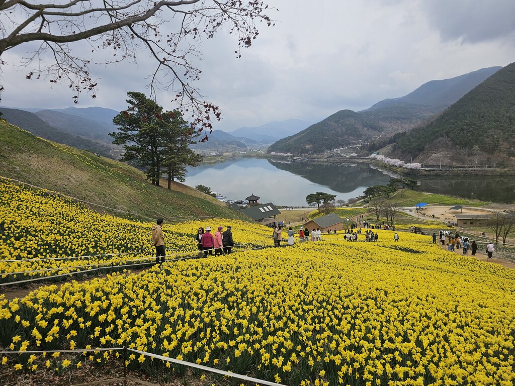 후기 사진