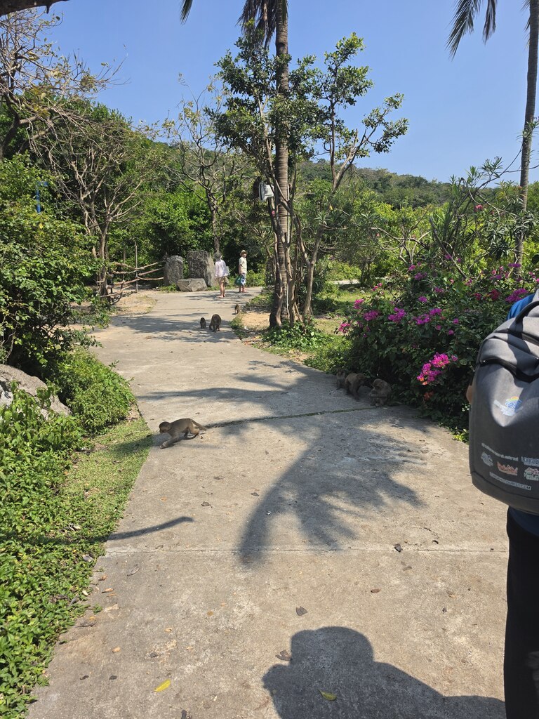 후기 사진
