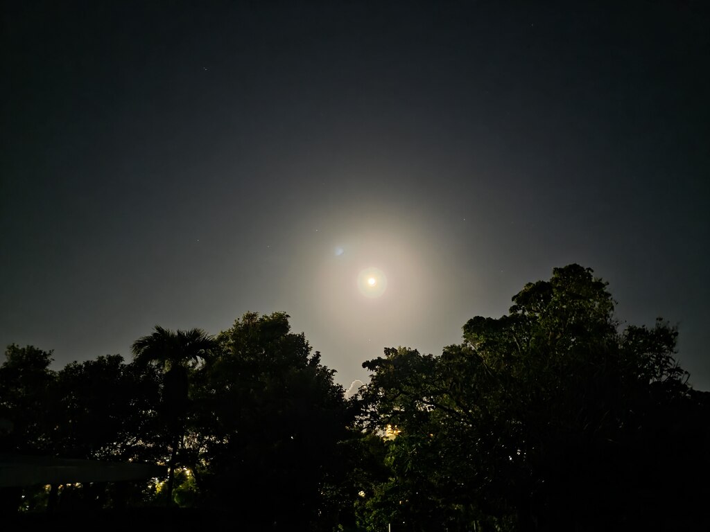 후기 사진