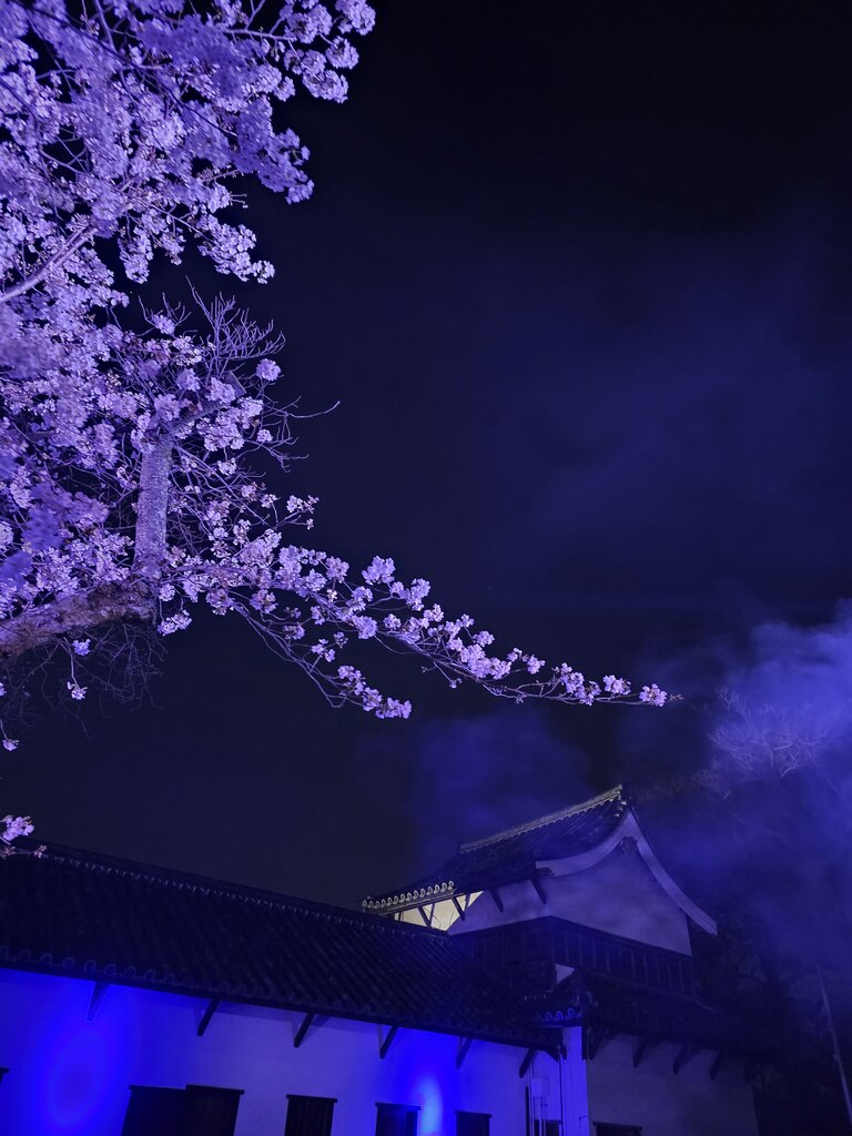 후기 사진