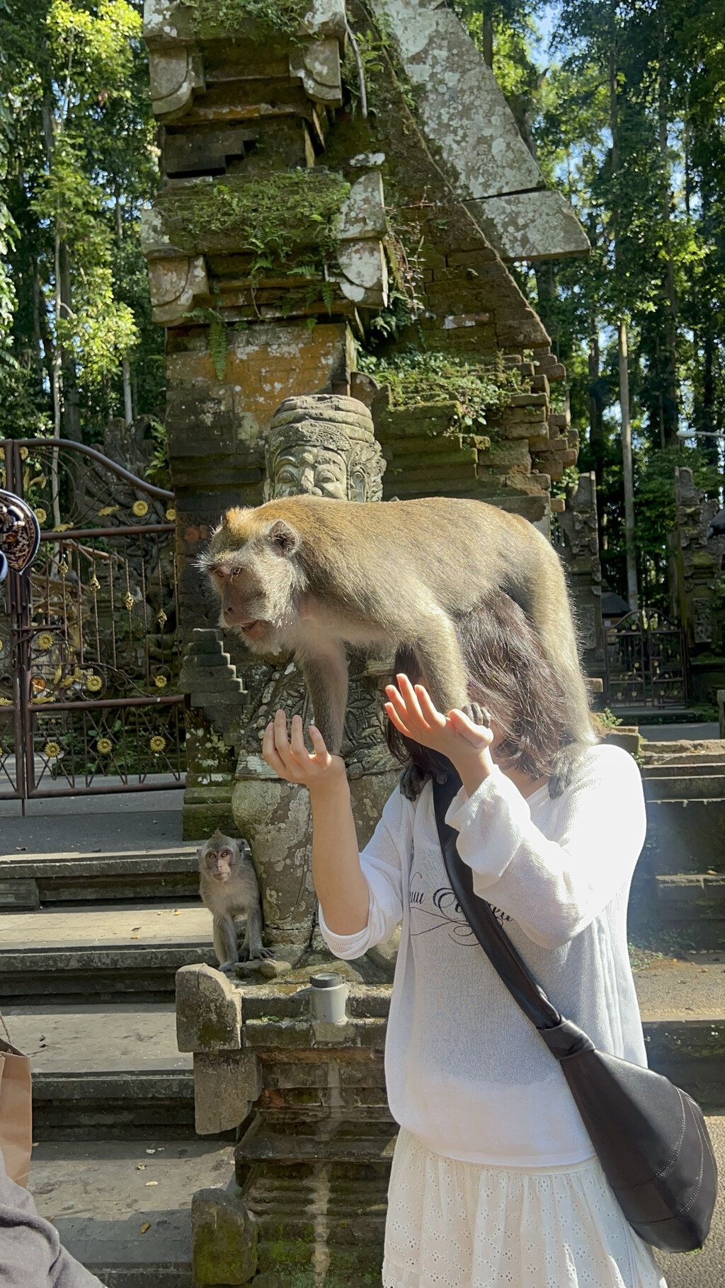Krisna Bali Trekking