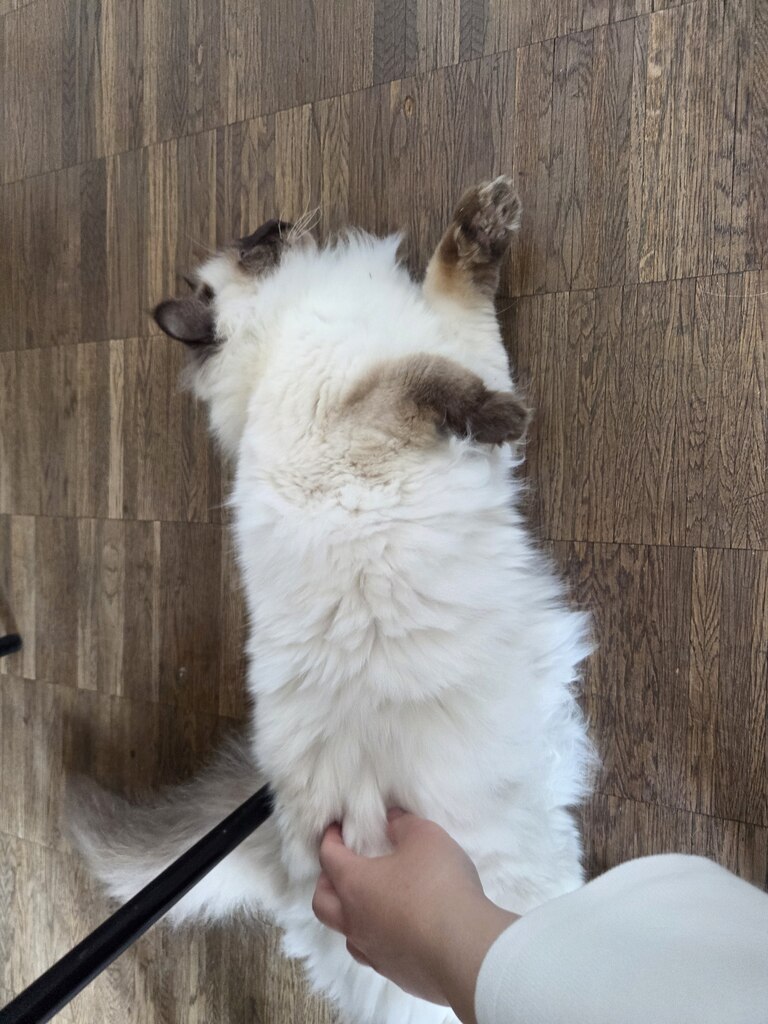 후기 사진