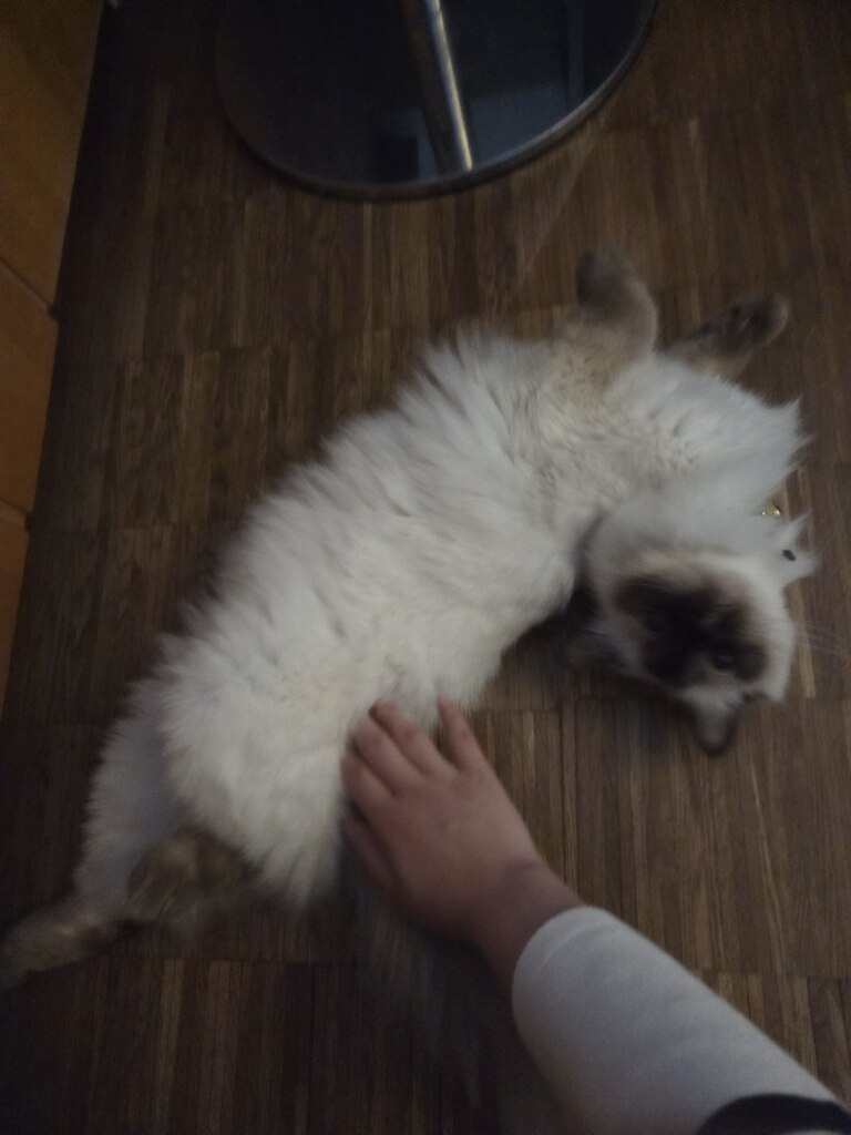 후기 사진