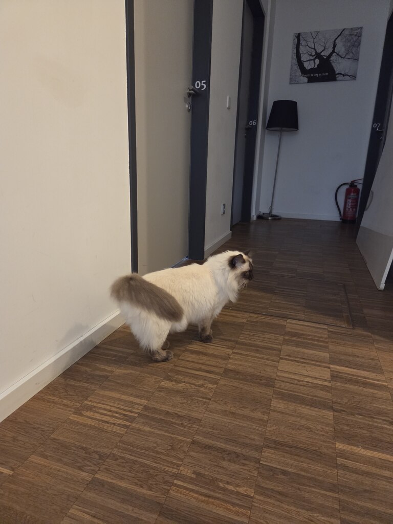 후기 사진