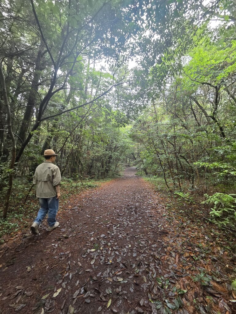 후기 사진