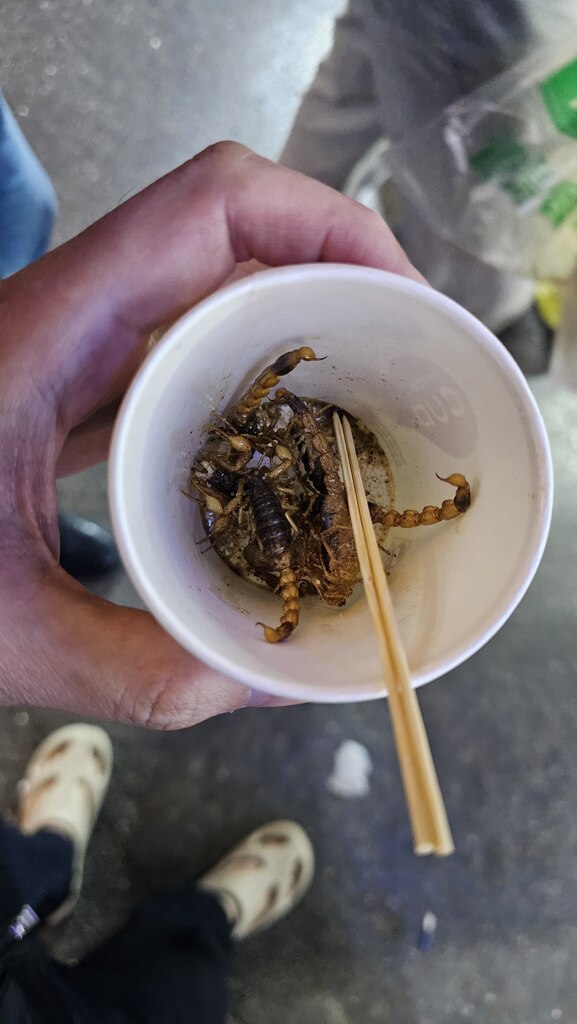 후기 사진