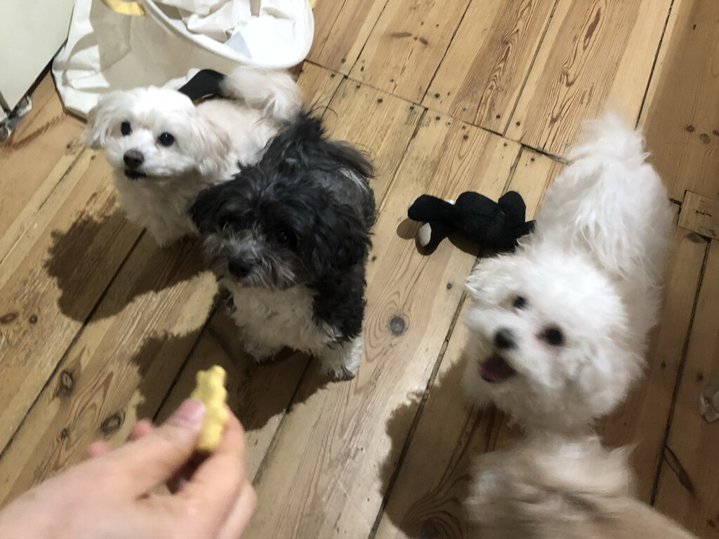 후기 사진