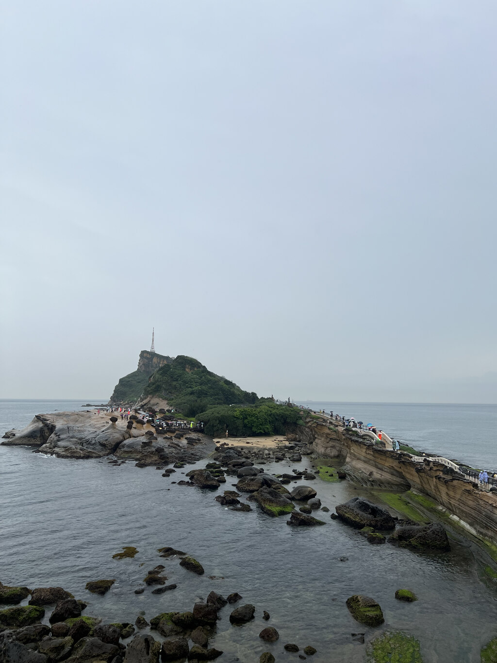 후기 사진