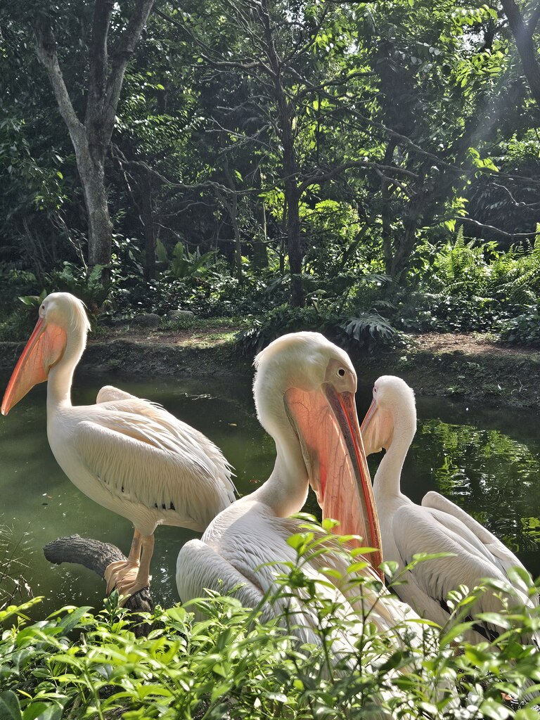 후기 사진