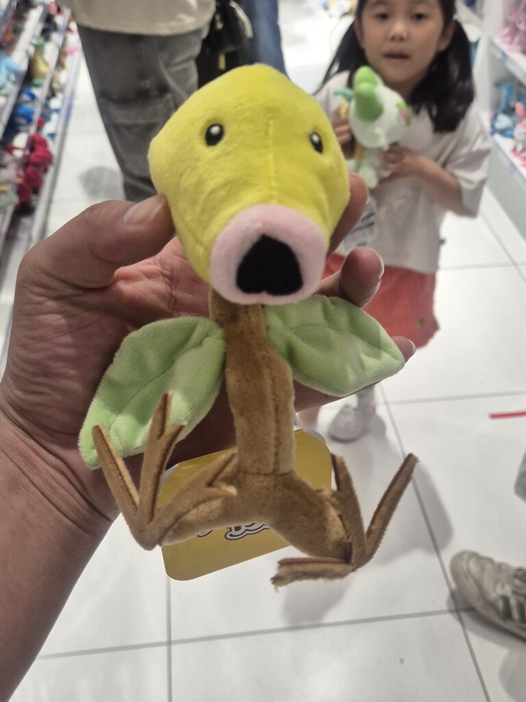 후기 사진