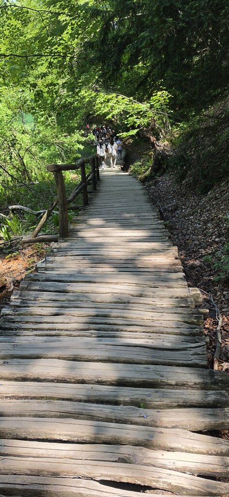 후기 사진