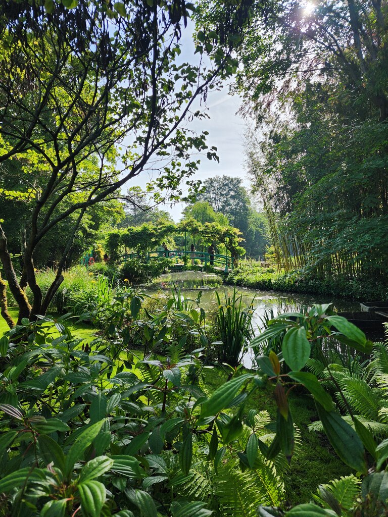후기 사진