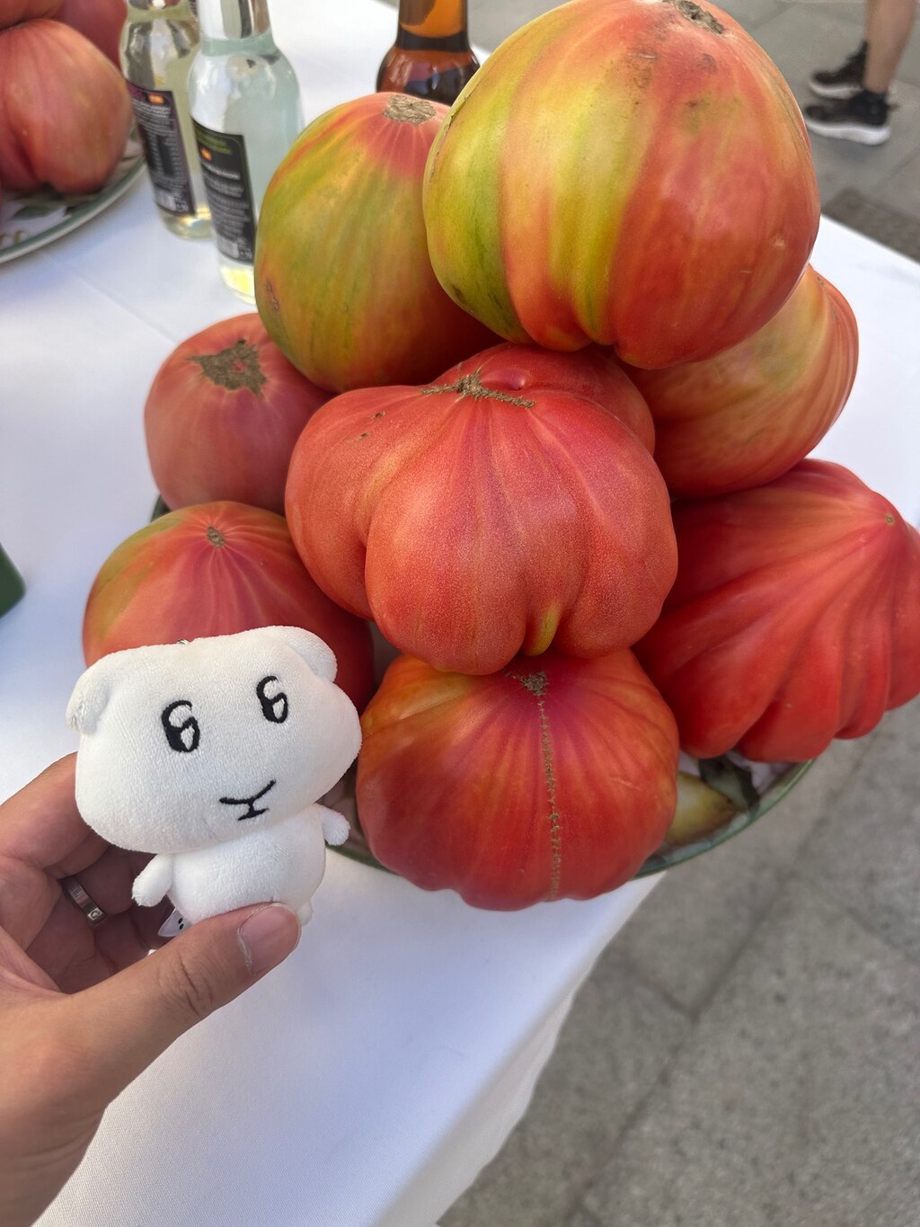 후기 사진