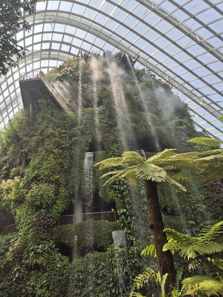 후기 사진