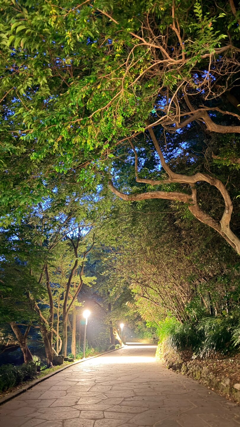 후기 사진