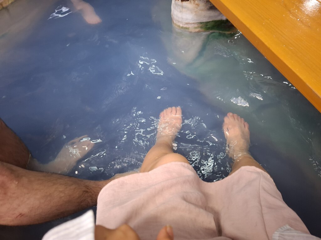 후기 사진