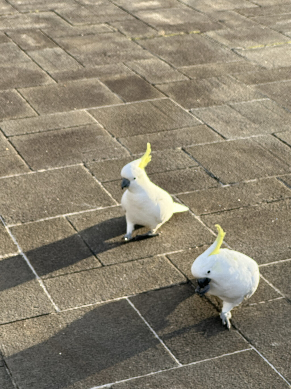 후기 사진