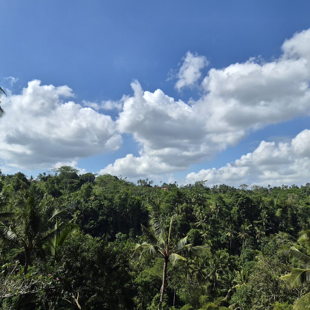 와얀 (Merta Bali Travel)