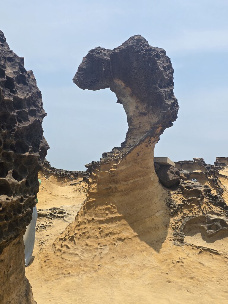 후기 사진