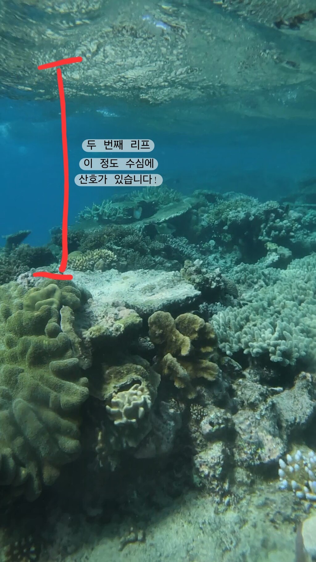 후기 사진